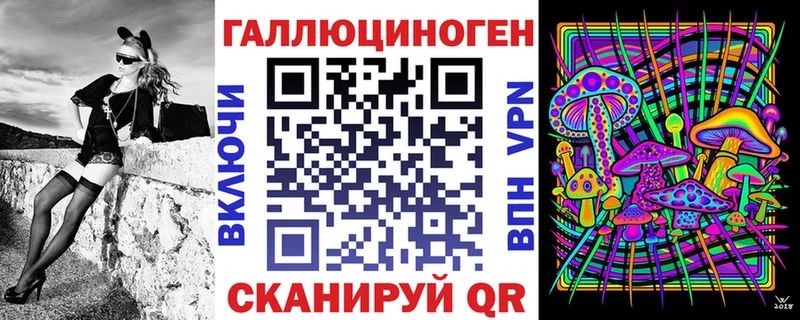 Галлюциногенные грибы Psilocybe  хочу   Сальск 