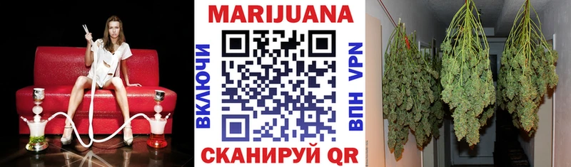 дарнет шоп  маркетплейс телеграм  Бошки марихуана конопля  Сальск 